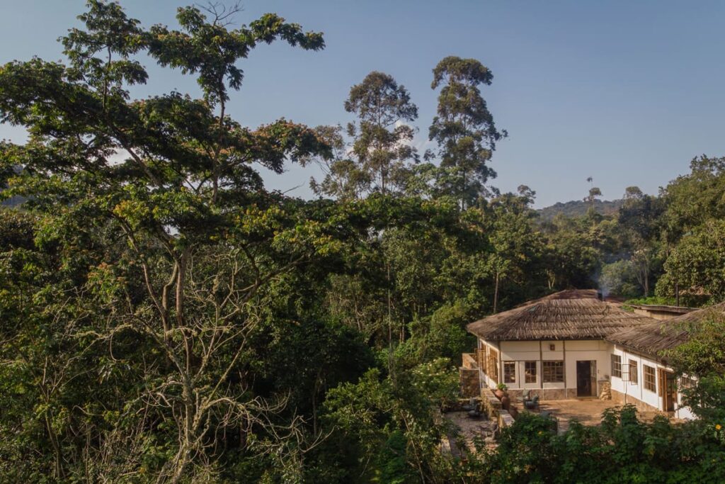 Bwindi Accommodation and Lodges