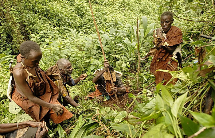 Facts About the Batwa People