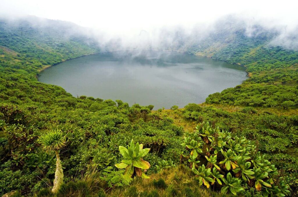 Volcano Mountain Crater 
